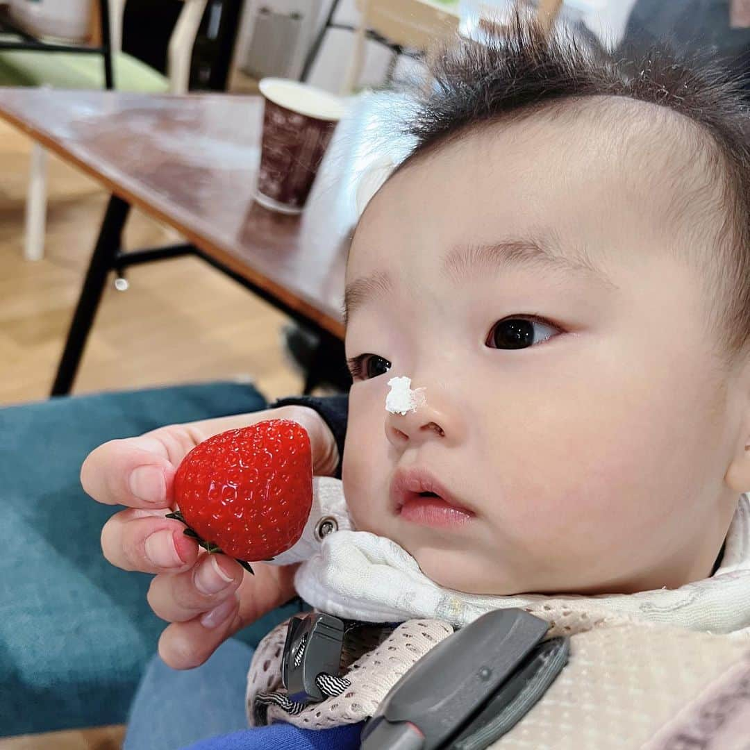 星沙織さんのインスタグラム写真 - (星沙織Instagram)「* * yummy！ yummy！ strawberry🍓🍓  ど平日に行ったので空いていて、ゆったりいちご狩り、最高でした♡⃛  コーヒーなどのドリンクもいただけて、毎日何かしらのイベントもやっているみたいです。  @strawberry___paradise   * *  #strawberry  #ストロベリー  #ストロベリーパラダイス   #いちご狩り  #いちご狩り🍓」4月21日 23時15分 - saaaaa0rin