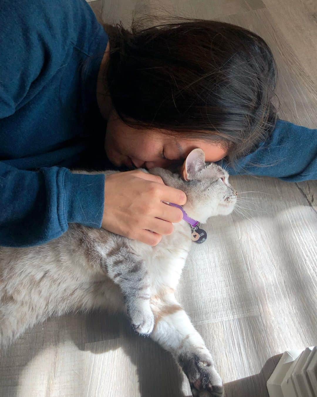 nala_catさんのインスタグラム写真 - (nala_catInstagram)「Share life. Share love ❤️ @lovenalaco   #meow #cute #cat #catsofinstagram」4月21日 23時52分 - nala_cat