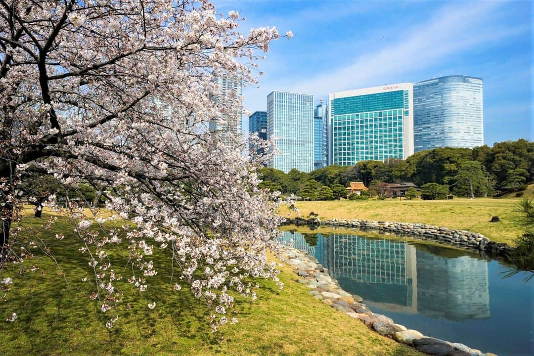 Conrad Tokyoのインスタグラム：「昨年に引き続きコンラッド東京は、米国大手旅行専門誌「Travel + Leisure（トラベル・アンド・レジャー）」が発表した「Travel + Leisure T+L 500」に選出されました。  これも日頃から当ホテルをご愛顧くださるお客様、ならびにトラベル・アンド・レジャーの読者の皆様のご支援があってこそと、心よりお礼申し上げます。  今後とも常にお客様の期待を上回るサービスとともに、いつまでも思い出に残るひとときをお過ごしいただけるよう、より一層努力してまいります。  In continuation from last year, we are thrilled to announce that Conrad Tokyo has been recognized as one of the top 500 hotels in the world in this year’s "T+L 500" by Travel + Leisure, the largest travel media brand in the United States.  We would like to express our heartfelt gratitude for the continuing support to our valued guests as well as the readers of Travel + Leisure for this incredible honor.  We will continue to make further efforts to exceed our guests' expectations and ensure that their stay with us will always be a memorable one.」
