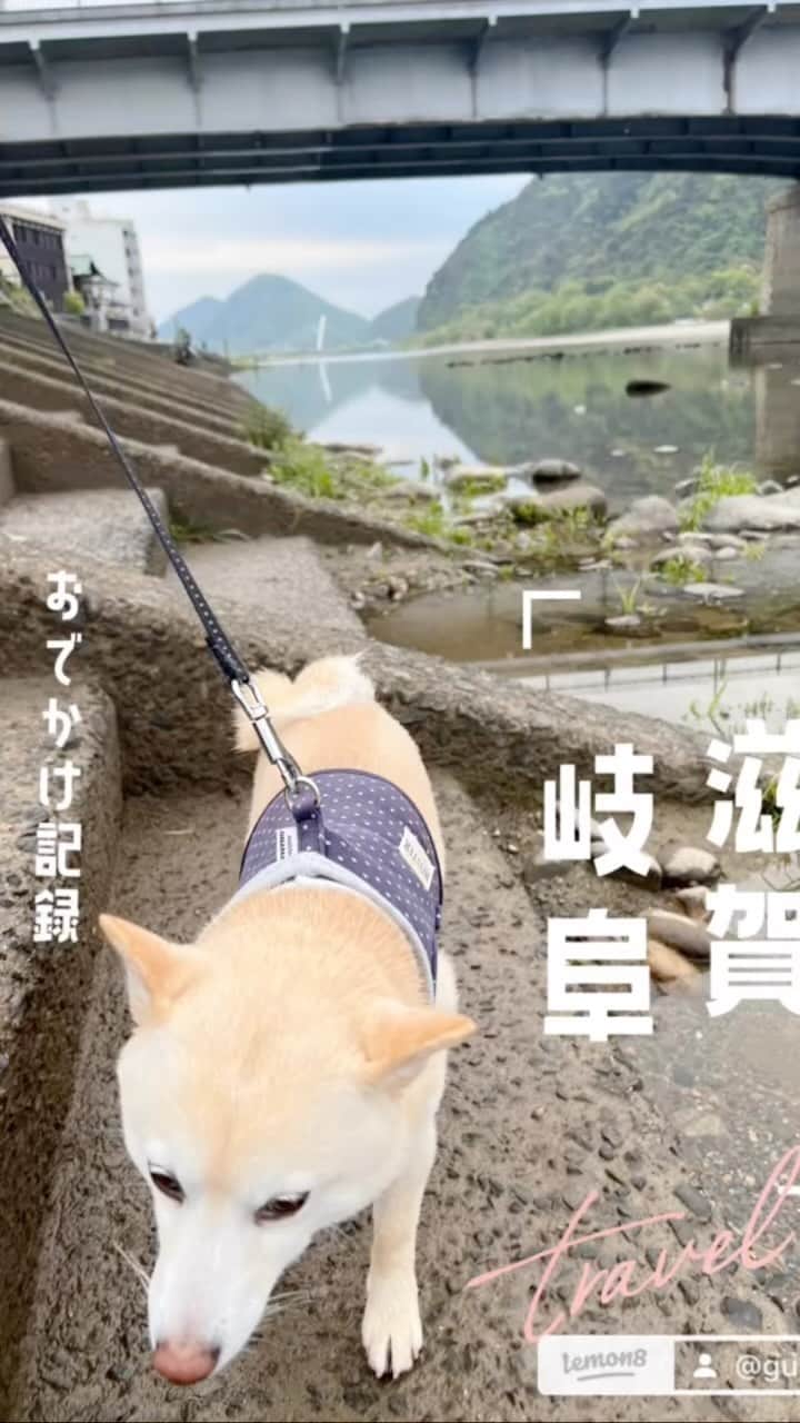 u-meK00000000 YUMIKO HORIKIRI ZUMBA のインスタグラム：「都ホテル 岐阜長良川 ペットと泊まれるプランでの旅  #いぬのいる暮らし #いぬバカ部」