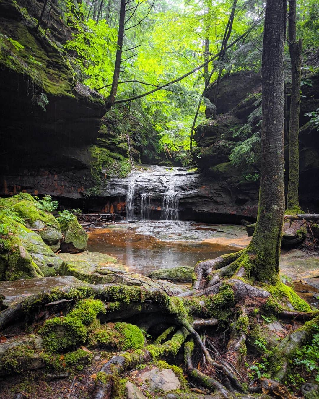 Visit The USAさんのインスタグラム写真 - (Visit The USAInstagram)「Bankhead National Forest, Alabama: the latest USA hidden gem to add to your travel plans.  📍Holmes Chapel Falls ➡️ Sougahoagdee Falls ➡️ Deer Skull Falls  Tell us in the comments where you're traveling to this summer in the USA.  📸: @huntsvilleadventurer  #VisitTheUSA #VisitAlabama #BankheadNationalForest #NationalForest #SweetHomeAlabama #Waterfalls #CouplesHike #Summer2023」4月22日 0時00分 - visittheusa