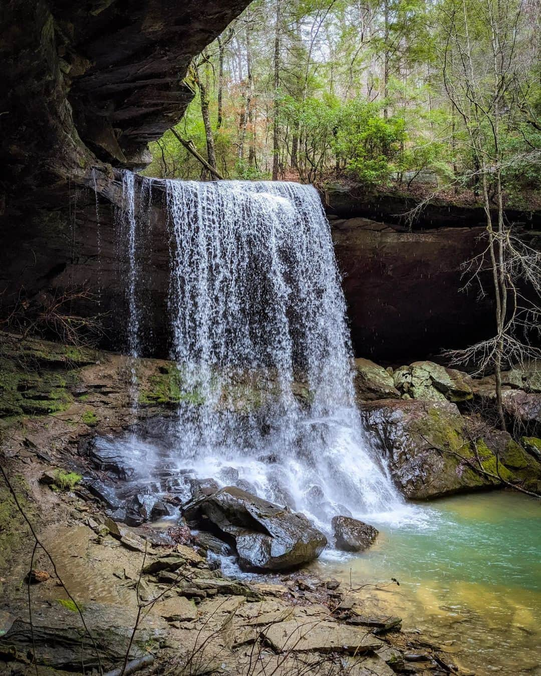 Visit The USAさんのインスタグラム写真 - (Visit The USAInstagram)「Bankhead National Forest, Alabama: the latest USA hidden gem to add to your travel plans.  📍Holmes Chapel Falls ➡️ Sougahoagdee Falls ➡️ Deer Skull Falls  Tell us in the comments where you're traveling to this summer in the USA.  📸: @huntsvilleadventurer  #VisitTheUSA #VisitAlabama #BankheadNationalForest #NationalForest #SweetHomeAlabama #Waterfalls #CouplesHike #Summer2023」4月22日 0時00分 - visittheusa