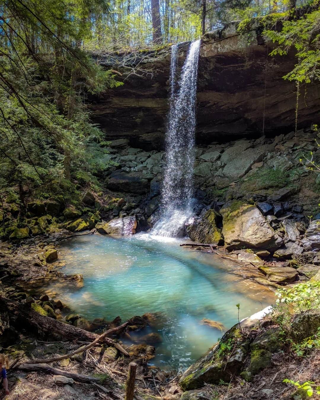 Visit The USAさんのインスタグラム写真 - (Visit The USAInstagram)「Bankhead National Forest, Alabama: the latest USA hidden gem to add to your travel plans.  📍Holmes Chapel Falls ➡️ Sougahoagdee Falls ➡️ Deer Skull Falls  Tell us in the comments where you're traveling to this summer in the USA.  📸: @huntsvilleadventurer  #VisitTheUSA #VisitAlabama #BankheadNationalForest #NationalForest #SweetHomeAlabama #Waterfalls #CouplesHike #Summer2023」4月22日 0時00分 - visittheusa