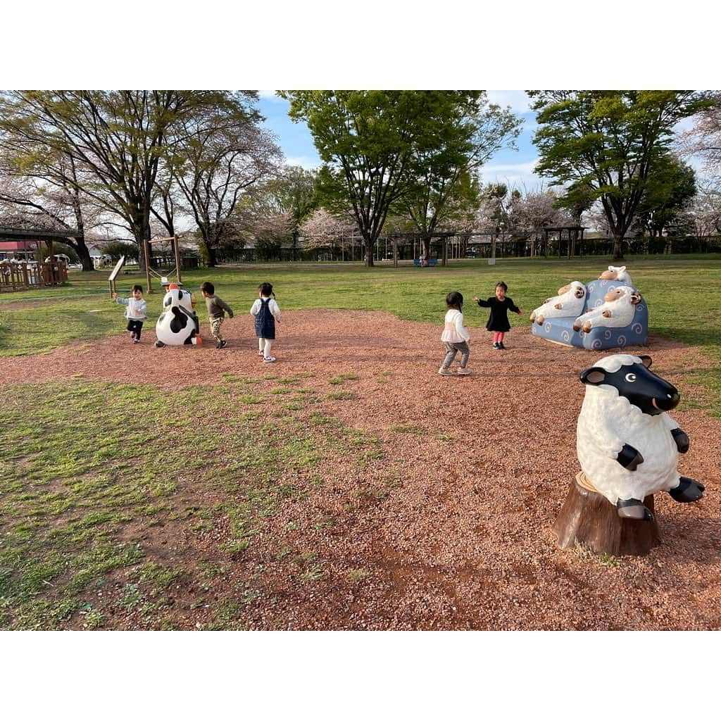 山田真以さんのインスタグラム写真 - (山田真以Instagram)「春の遠足🌸 仲良しのお友だちと#東武動物公園 🦁🐯🐧🐒🐴  娘の習い事きっかけで仲良くなったお友だち。 子どもたち同士だけでなく、母たちも昔から知ってたかのような居心地の良い友人たちです。 この5人が集まれば、子どもたちは心から楽しそう☺️💗  コロナ渦で生まれた我が子たち。 母親教室や児童館も制限があったりして、 子ども同士、親同士が触れ合う機会が少なかっただけに、 同世代の子どもを持つママ同士が気兼ねなくいろいろ話せるというのは本当に心強く、リフレッシュになるものです☺️🌈  みんなで電車やバス移動、遠足みたいでとっても楽しかったな。 #思いがけず桜もとても綺麗でピクニックもできました #閉園まで動物園を満喫 #遊園地はまた今度 #みんなで行くと動物園がこんなに楽しいなんて🐘 #ずっと仲良しでいてほしいな」4月22日 0時37分 - maaai.yamada