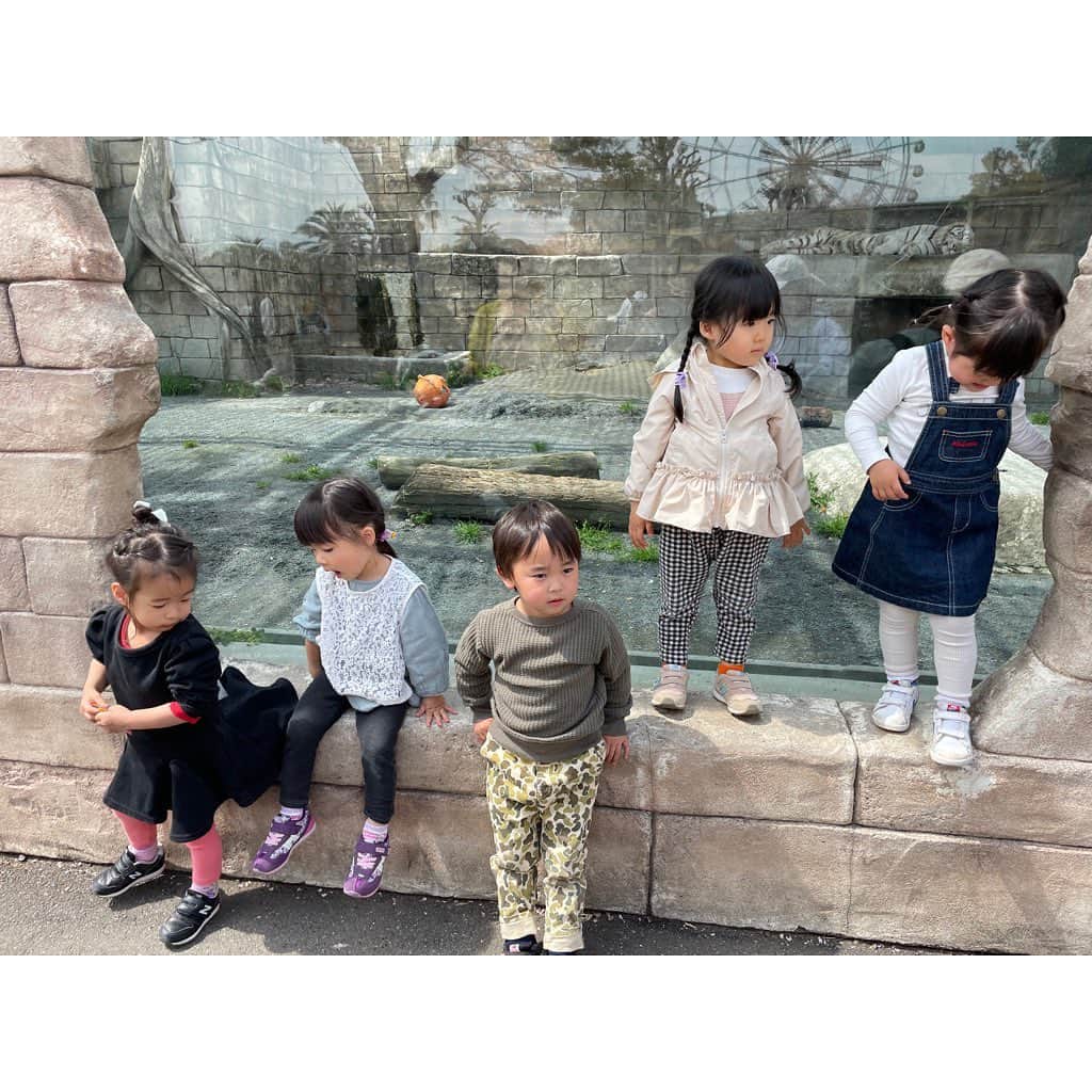 山田真以さんのインスタグラム写真 - (山田真以Instagram)「春の遠足🌸 仲良しのお友だちと#東武動物公園 🦁🐯🐧🐒🐴  娘の習い事きっかけで仲良くなったお友だち。 子どもたち同士だけでなく、母たちも昔から知ってたかのような居心地の良い友人たちです。 この5人が集まれば、子どもたちは心から楽しそう☺️💗  コロナ渦で生まれた我が子たち。 母親教室や児童館も制限があったりして、 子ども同士、親同士が触れ合う機会が少なかっただけに、 同世代の子どもを持つママ同士が気兼ねなくいろいろ話せるというのは本当に心強く、リフレッシュになるものです☺️🌈  みんなで電車やバス移動、遠足みたいでとっても楽しかったな。 #思いがけず桜もとても綺麗でピクニックもできました #閉園まで動物園を満喫 #遊園地はまた今度 #みんなで行くと動物園がこんなに楽しいなんて🐘 #ずっと仲良しでいてほしいな」4月22日 0時37分 - maaai.yamada