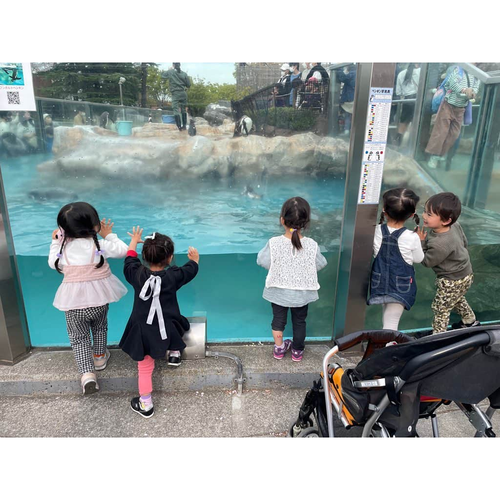 山田真以のインスタグラム：「春の遠足🌸 仲良しのお友だちと#東武動物公園 🦁🐯🐧🐒🐴  娘の習い事きっかけで仲良くなったお友だち。 子どもたち同士だけでなく、母たちも昔から知ってたかのような居心地の良い友人たちです。 この5人が集まれば、子どもたちは心から楽しそう☺️💗  コロナ渦で生まれた我が子たち。 母親教室や児童館も制限があったりして、 子ども同士、親同士が触れ合う機会が少なかっただけに、 同世代の子どもを持つママ同士が気兼ねなくいろいろ話せるというのは本当に心強く、リフレッシュになるものです☺️🌈  みんなで電車やバス移動、遠足みたいでとっても楽しかったな。 #思いがけず桜もとても綺麗でピクニックもできました #閉園まで動物園を満喫 #遊園地はまた今度 #みんなで行くと動物園がこんなに楽しいなんて🐘 #ずっと仲良しでいてほしいな」