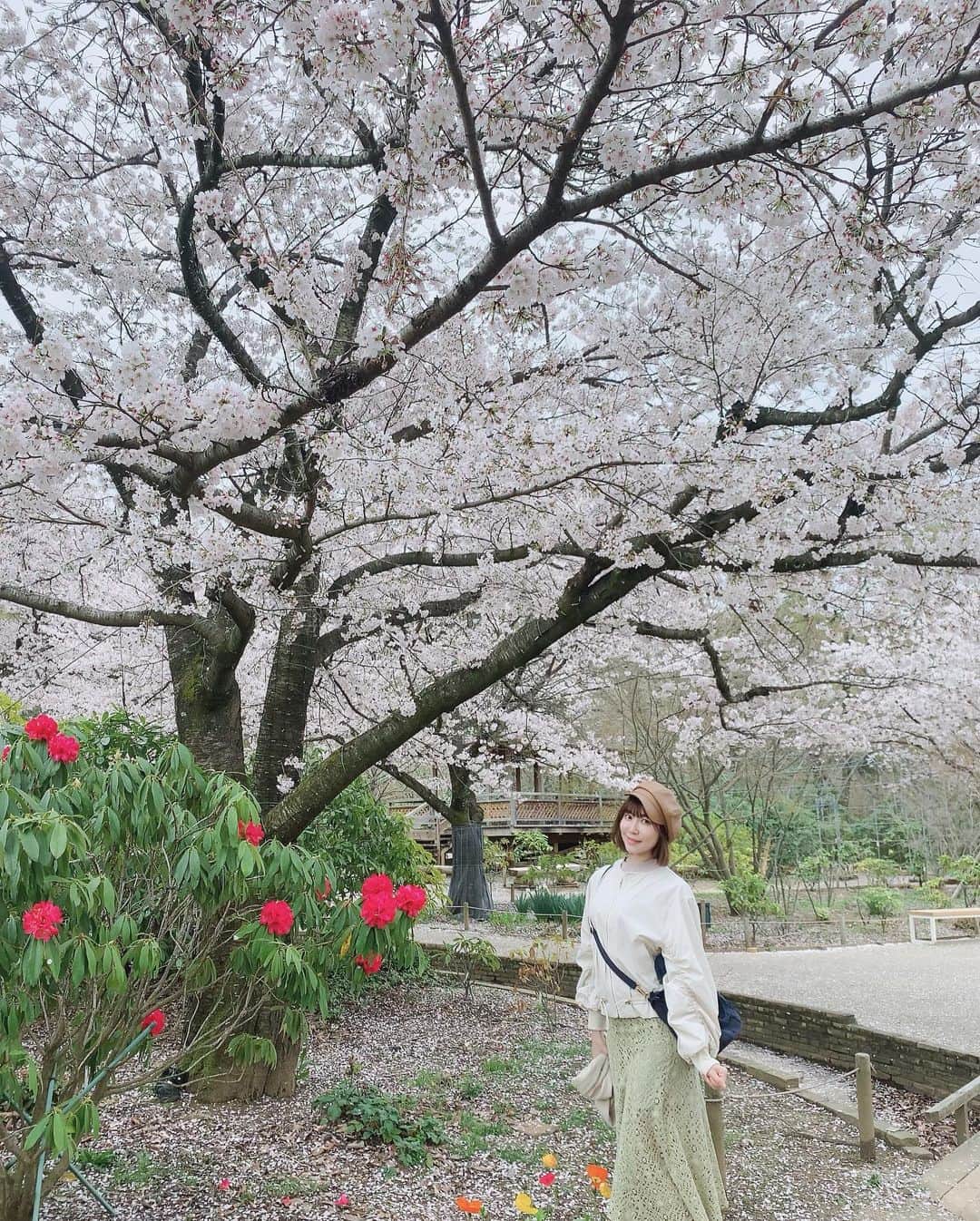 伊沢千夏のインスタグラム：「桜の思い出〜🌸 今年もたくさんお花見しましたわ🌸日本には素敵なところがいっぱいありますね🤭✨」