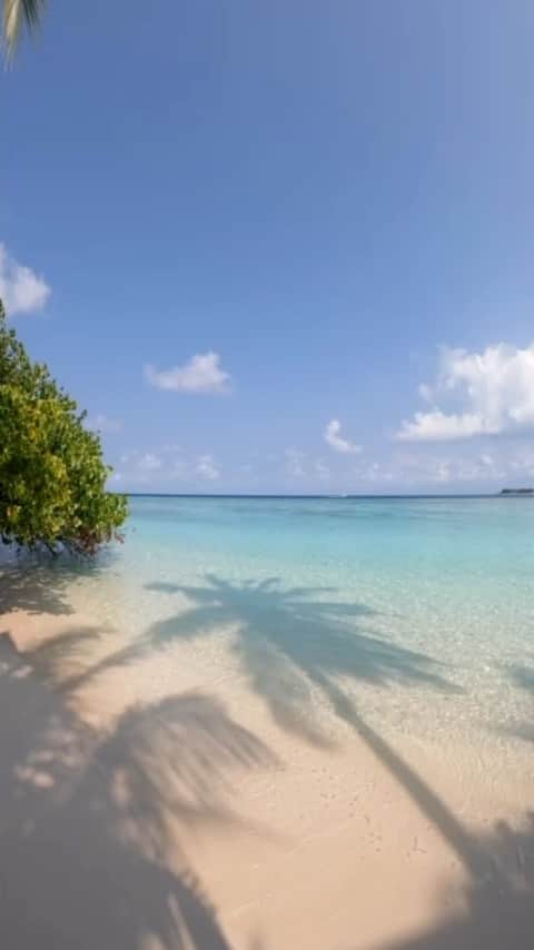 のインスタグラム：「Maldives Islands 🌴   Are you considering a trip to the Maldives? Let us help you plan your vacation @nichegetaways   📧 hello@nichegetaways.com 📞 +960 760 5656 (WhatsApp/Viber) 🌐 www.nichegetaways.com」