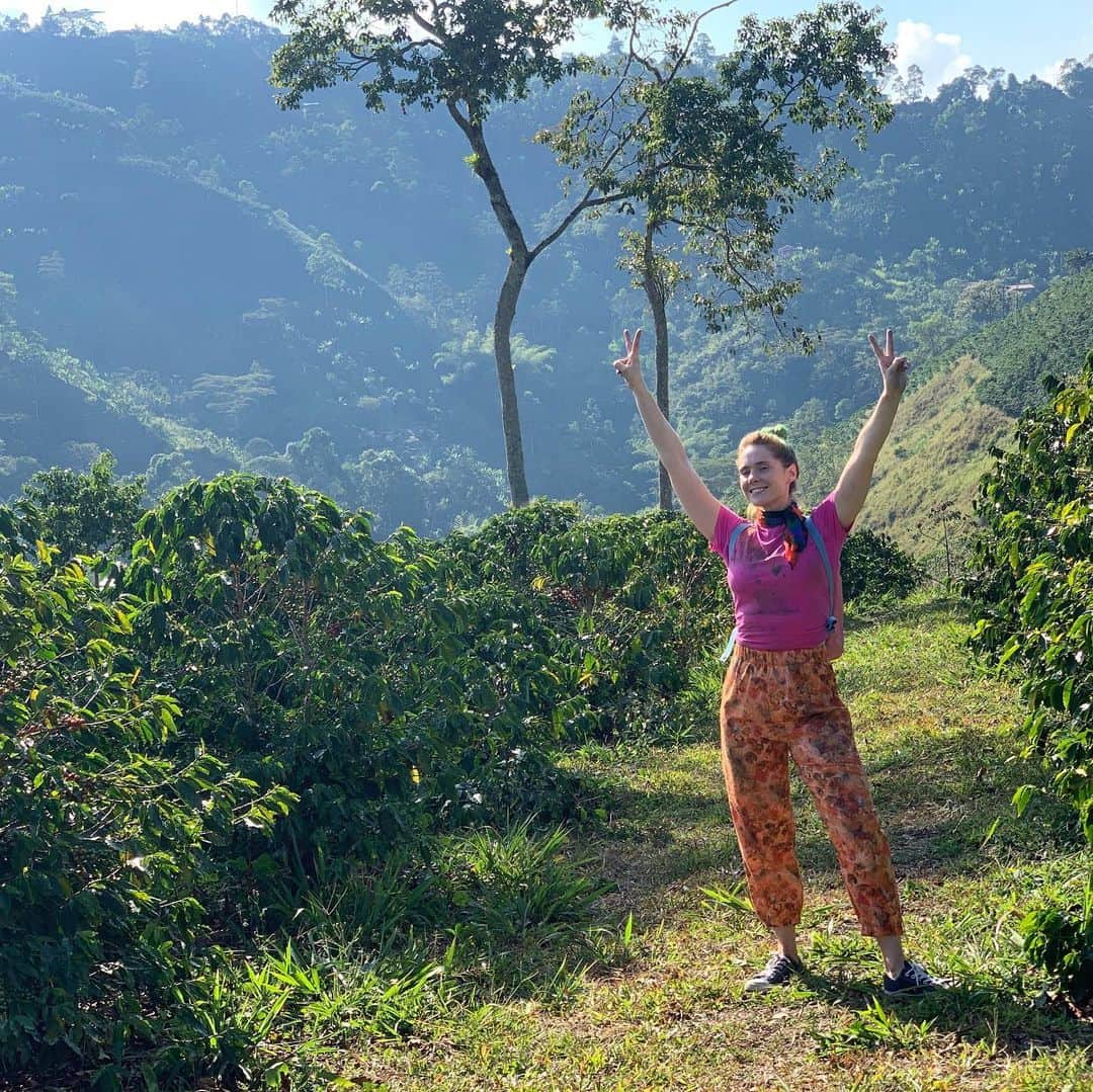 のインスタグラム：「I was so lucky to go to Colombia to shoot in stunning Coffee fields for ‘Coffee Wars’. We worked with incredible Colombian production team @diptongomediagroup and took minimal crew & of course the legend @mariaconchita_a who makes me cackle & @thomas.r.silverman who kept our locks in check ✂️ One of my favourite traveling experiences ever. 💚 ‘Coffee Wars’ is out now! Maybe watch it this wknd just sayin ☕️」