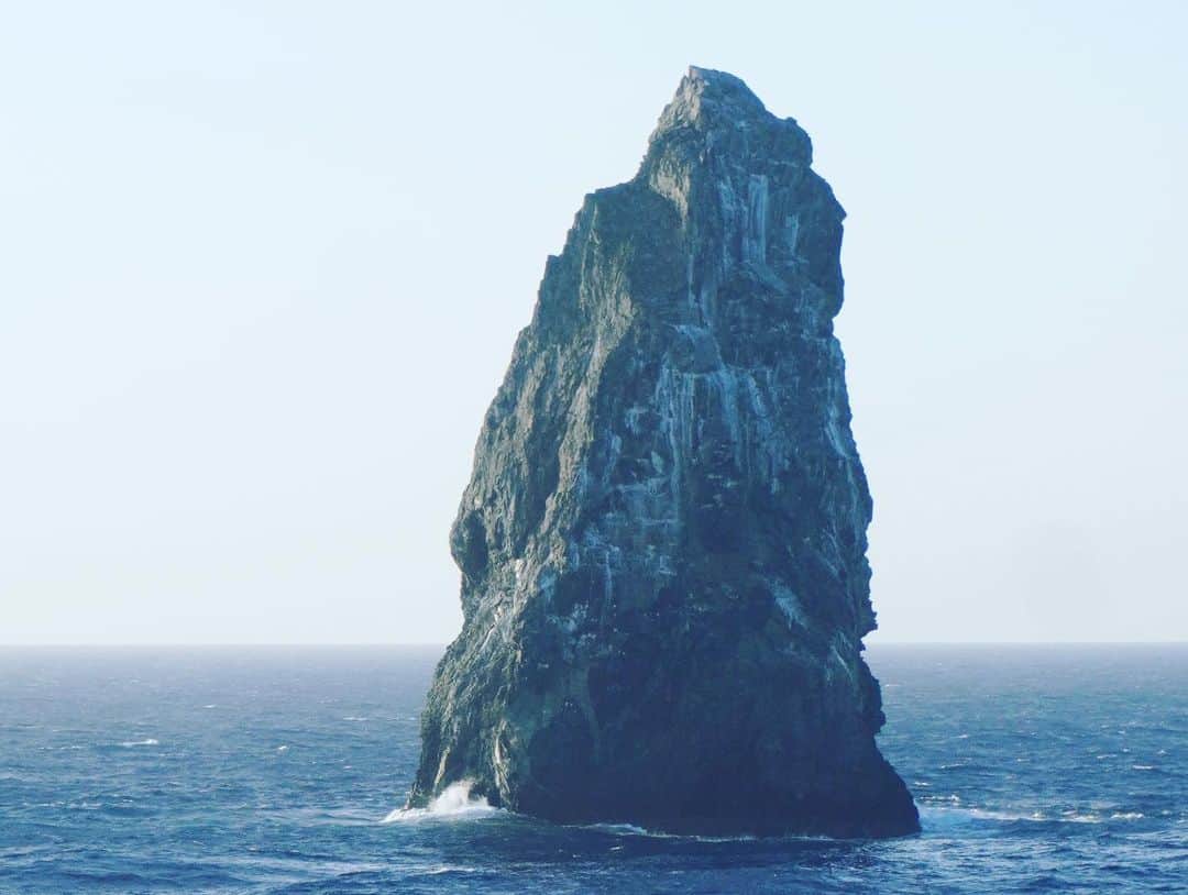 小林希さんのインスタグラム写真 - (小林希Instagram)「🚢飛鳥Ⅱクルーズ乗ったよ④🚢  絶海にぽつんと、されど凛然と立つ孀婦岩。 伊豆諸島の最南端で、都心から約650キロ。 海上100メートの高さがありますが、 実は水深2500メートルからつづく地形の山頂部分にあたるそうです。 かっこいいなぁ。  そして、鳥島。 孀婦岩から北へ80キロほど。 ここに、人が暮らしていたとは。 いまはアホウドリの生息地。 海を飛び交うアホウドリをみました👀  日本て広いなぁと感じるのは、いつも🚢の上から。  3.4枚目の写真は、 カメラマンの園田鉄也さん🙏　@sonotetsu_creator   #飛鳥ⅱ  #東京の島 #夢のようなお仕事 #クルーズ  #船旅 #cruise  #横浜大さん橋 #そうふ岩  #孀婦岩  #鳥島」4月22日 13時46分 - nozokoneko