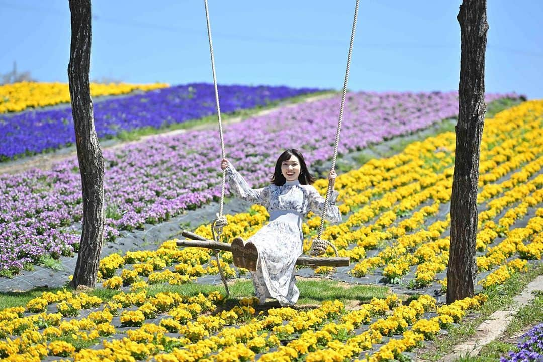 末井櫻子のインスタグラム：「☁️✴︎~ ． ． ネモフィラを見に世羅に行ったけど、近くにこんな素敵な施設もあった🌷 ． ． お花に囲まれながらブランコに乗ることなかなかないから、ハイジになった気分だった🤣🌳 ． ． ついつい花夢の里のネモフィラで満足しちゃいそうだけど、 世羅に行ったら絶対ここも行くべき♡ ． ． ． #花の駅世羅  #世羅」