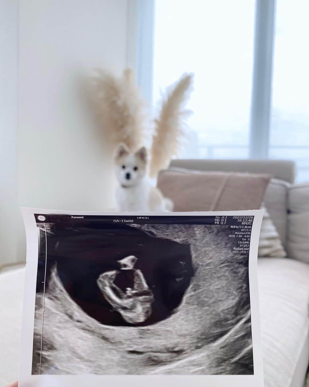 佐藤あずみさんのインスタグラム写真 - (佐藤あずみInstagram)「𝐁𝐨𝐲 𝐨𝐫 𝐆𝐢𝐫𝐥？👶🎂  やってみたかったジェンダーリビールケーキを作ってお友達に性別発表しました🍓🫐✨  旦那さんにもやりたかったんだけど、わかった時についついと言うか、あずみのわかりやすい性格のせい速攻でバレました！笑 （おにぎりでやりたかったなぁ😗🍙）  苺が女の子🍓 ブルーベリーが男の子🫐 結果は、、、  男の子です👶❤️きゃーーー！  4ヶ月の時にはすでに小像がエコーでわかりました🐘💕 確定したのは次の検診の15週ぴったりだったな！  赤ちゃんの大きさは9センチの時🥹こんなに小さいのに立派にあぐらをかいて、大物を見せてくれました🤣👏🏽  自分ではもうわかってるのに何故かすごくドキドキしたジェンダーリビールケーキ🎂👶 みんな盛り上がってくれた🤣💕 やって良かった1つですぅう❤️  お腹の中にいる時からたくさんの思い出をくれる君はすでに親孝行や😍  #ジェンダーリビール #ジェンダーリビールケーキ #ジェンダーリビール手作り #ケーキ #手作り #手作りケーキ #性別発表 #性別確定 #マタニティ #マタニティライフ #maternity #maternitylife #genderreveal #genderrevealparty」4月22日 14時32分 - azumisato0330