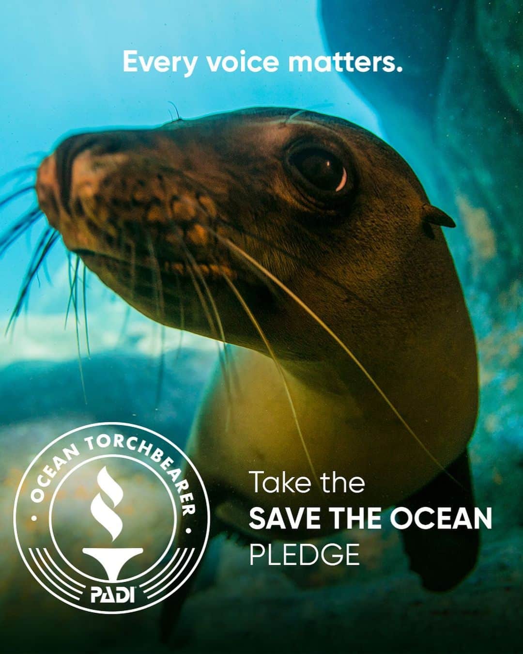 チェ・ソンヒョンのインスタグラム：「#지구의날 #earthday2023  바다의 미래는 여러분의 관심에따라 달라질 거예요Ocean Torch bearer가 되기로 서약해주실래요?  PADI는 바다를 보호하고 바다 변화를 만드는 세계에서 가장 큰 공동체를 건설하는데 동참하는 개인서약에 사인할 것을 모두에게 요청드리고 있습니다. 함께 해주세요.  padi.com/savetheocean  #savetheocean #oceanpledge #padi #padiAmbassaDiver   강사들따라 안가르쳐도 쓰레기를 낚아오는 착한 팀원들😍  오늘따라 더 보고싶네~」