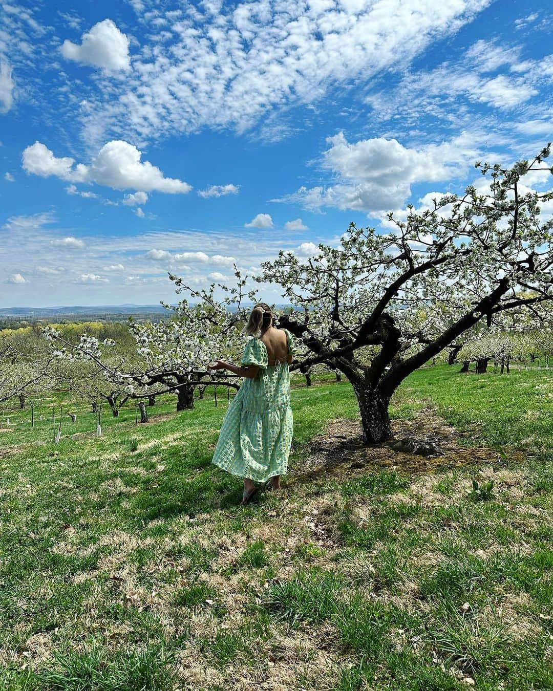 リズ・チェルカソワのインスタグラム：「Spring on the farm. The baby chicks are growing up. My tulips and daffodils are blooming in the garden. The orchards are exploding with blossoms. And I’m spending long lazy afternoons soaking up the beauty of this moment.」