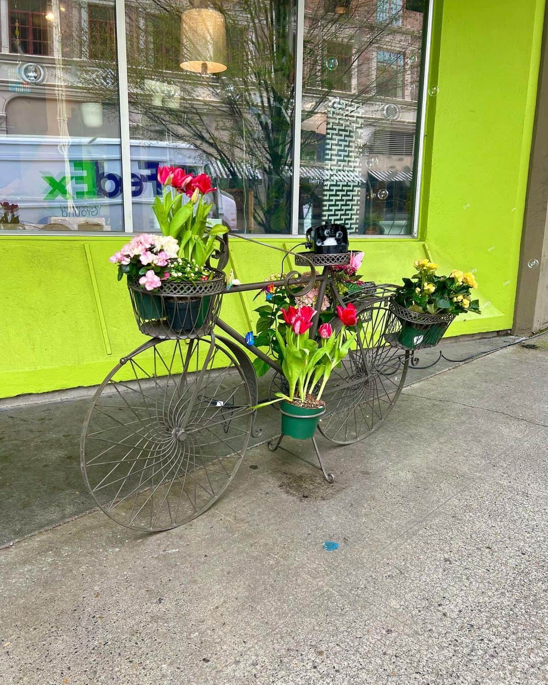 Portlandさんのインスタグラム写真 - (PortlandInstagram)「The first annual Bloom Tour is happening in downtown Portland and Old Town! Explore the city while checking out 26 stunning floral installations by local florists, now through June 30th! 💐🏙️ Get out and explore, and soak up some fresh air! #portland #pnw #oregon #portlandoregon #pacificnorthwest #travelportland #pdx #bloomtourpdx」4月22日 7時39分 - portland