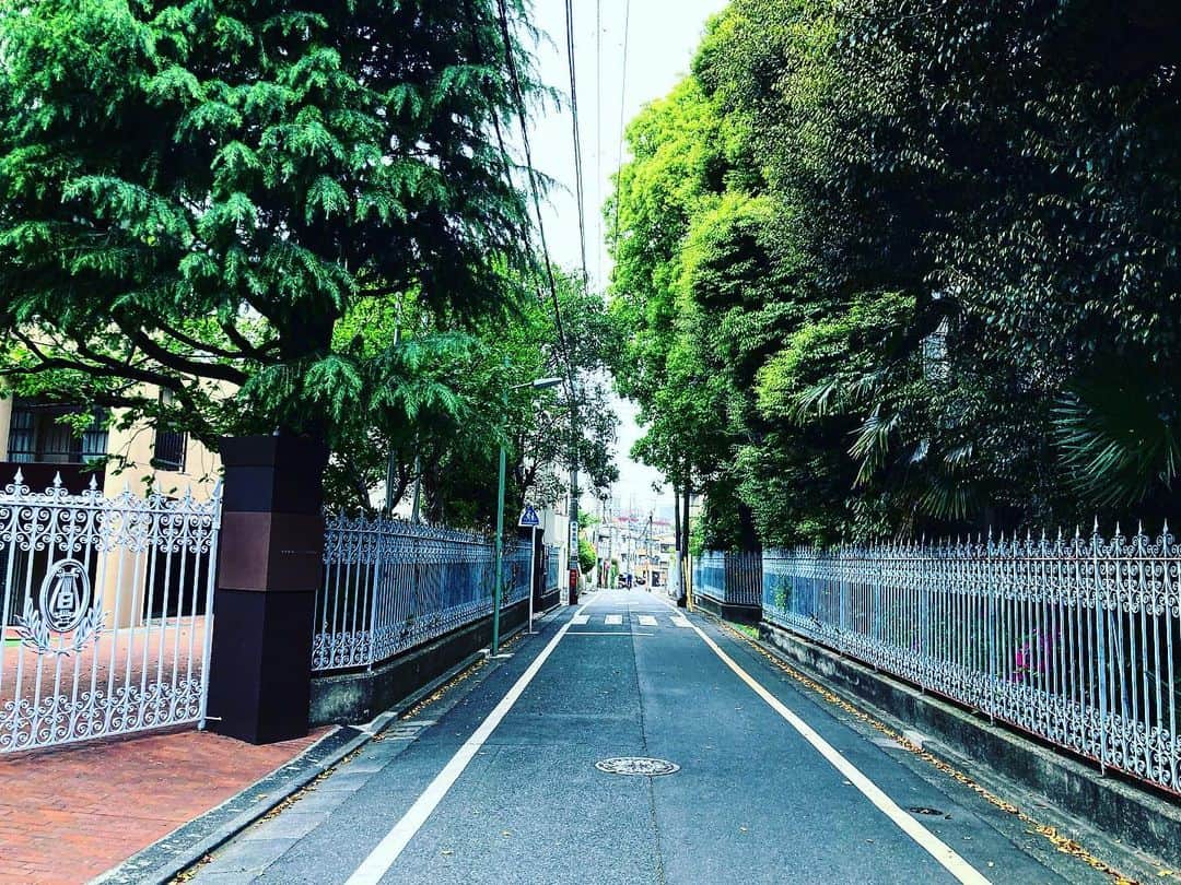 宇田川大輔のインスタグラム：「本日の朝ラン #朝ラン #running #城南エリア」