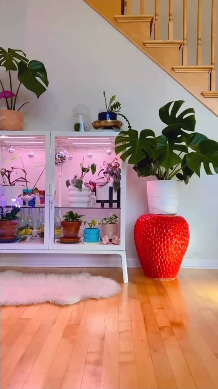 T.J.マックスのインスタグラム：「This🍓stool is our jam 💕 (📸: @mypotsmyplants)」