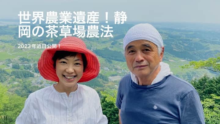 小谷あゆみのインスタグラム：「#世界農業遺産　#静岡の茶草場農法 掛川編 #東山いっぷく処 と、体験型古民家宿 #旅ノ舎　さんを 取材 日本農業新聞で近日公開します ここには代々、草刈りが好きな人々がいました つづく」