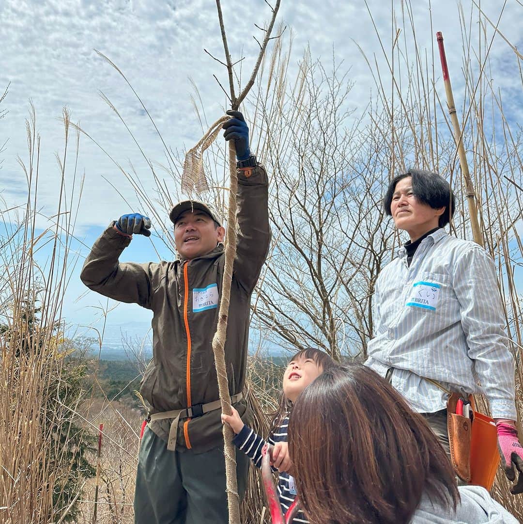 BRITA Japanさんのインスタグラム写真 - (BRITA JapanInstagram)「4月22日はEARTH DAY 地球環境について考える日として提案された記念日です。  地球環境を守る取り組みのひとつ、ブリタのグリーンプロジェクトの一環として2007年から継続して行う育林活動「富士山の森再生プロジェクト」 2023年4月8日 (土) にブリタクラブ会員さまとブリタ社員、プロジェクトをずっと一緒に取り組んでいるNPO法人どんぐりの会、総勢34名で実施されました。  今年もブナ、ホオ、ミズナラなど広葉樹の苗木を約100本植樹することができました！さらに、今回は以前植えた苗木の育つ姿も見られ、私たちの活動がしっかりと未来を作っていることを確認することができました。  これからもおいしい水の未来を作る取り組みを続けていきたいと思います。」4月22日 10時00分 - brita.japan