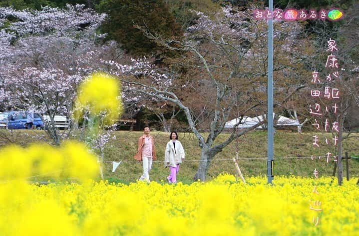 テレビ大阪「おとな旅あるき旅」のインスタグラム