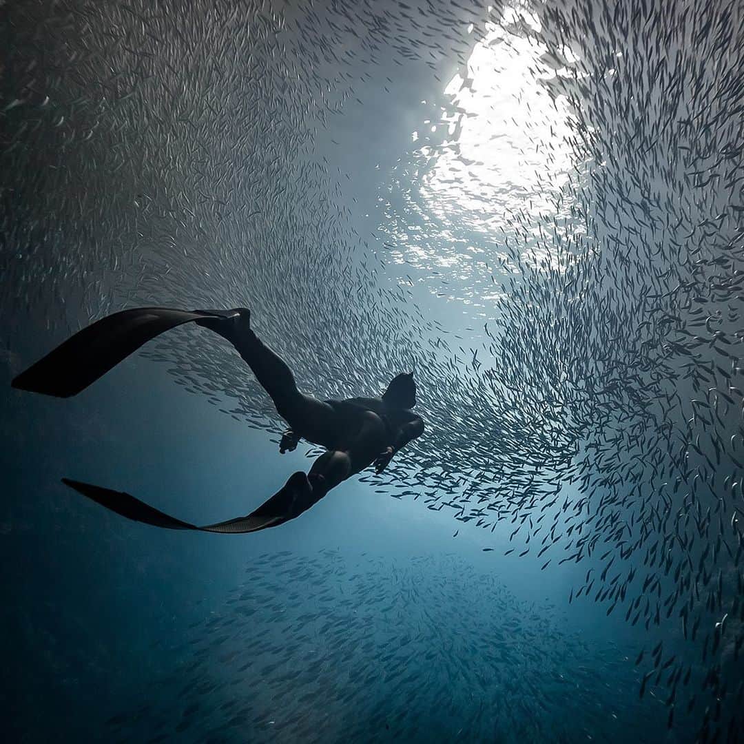 Canon Asiaのインスタグラム：「There’s much to see on our planet 🌍, and even more to do! Investing in our home also means investing in our future – there are thousands of species of 🌿 and 🦅 that make up the unique tapestry of Earth’s biosystem, all of which deserve our protection.  Click on our link in bio to share some of your favourite nature-related moments with us on My Canon Story! - #TeamCanon #CanonAsia #CanonPhotography #CanonPhoto #CanonImages #CanonLens #CanonColourScience #PhotoOfTheDay #IAmCanon #ThePhotoHour #WildlifePhotography #EarthDay #InvestInOurPlanet」