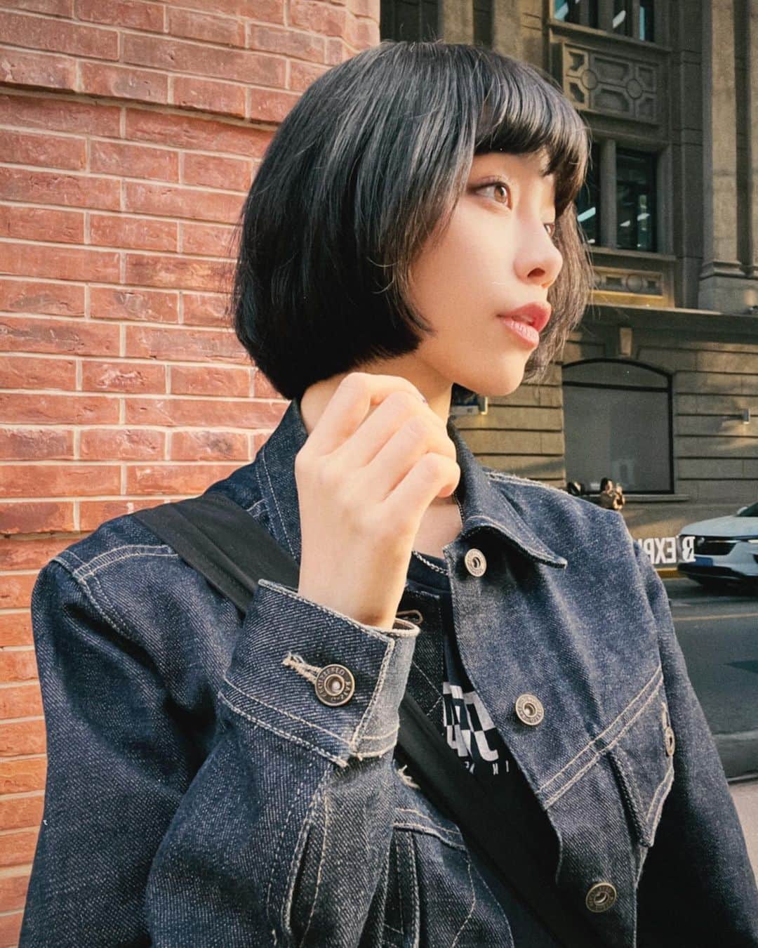 る鹿のインスタグラム