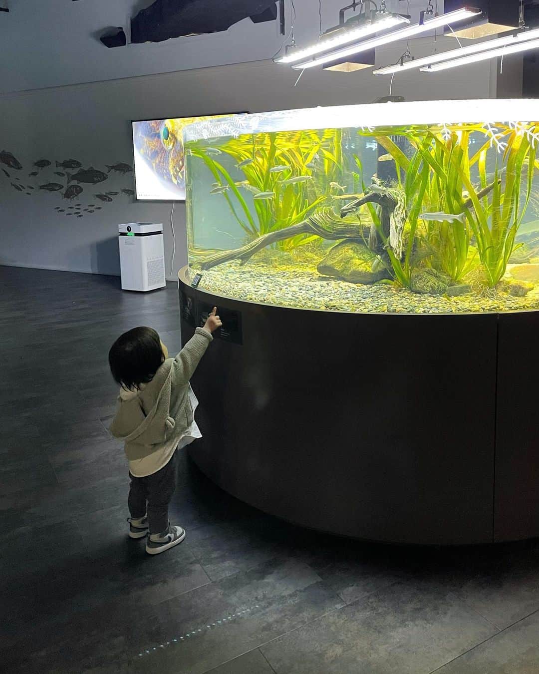 田中響子さんのインスタグラム写真 - (田中響子Instagram)「@kawasui_aqua 🐠 お魚すいすいかわいいね！  今週、1歳半検診が無事終わりました。 (息子はもう1歳7ヶ月過ぎてる)  73cm、10kgと成長曲線内の下の方だけど 他は特に問題なく一安心😮‍💨  近所にママ友欲しいなぁと思いながら 幼稚園入るまでは難しいのかな、、🥹」4月22日 11時32分 - coco.golf