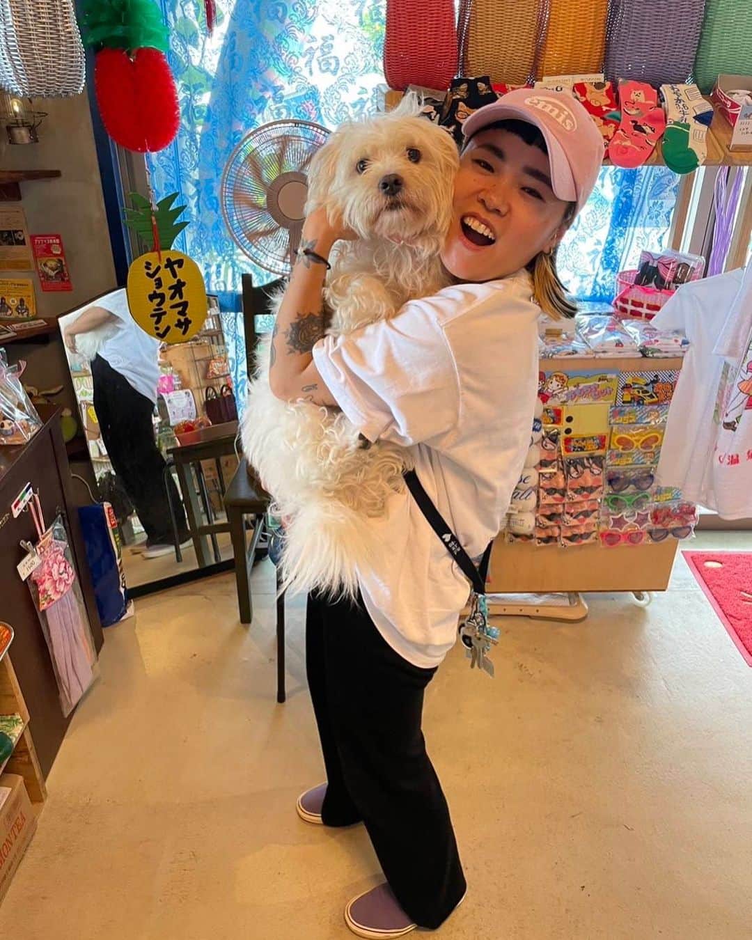 中原絵梨奈のインスタグラム：「ええ写真撮ってもろたから🤍  うちにおった白玉ちゃん🤍  すっかりええとこの子🤍  島で里親さんなってもらえるといつでも会えるから嬉しい🤍🤍🤍」
