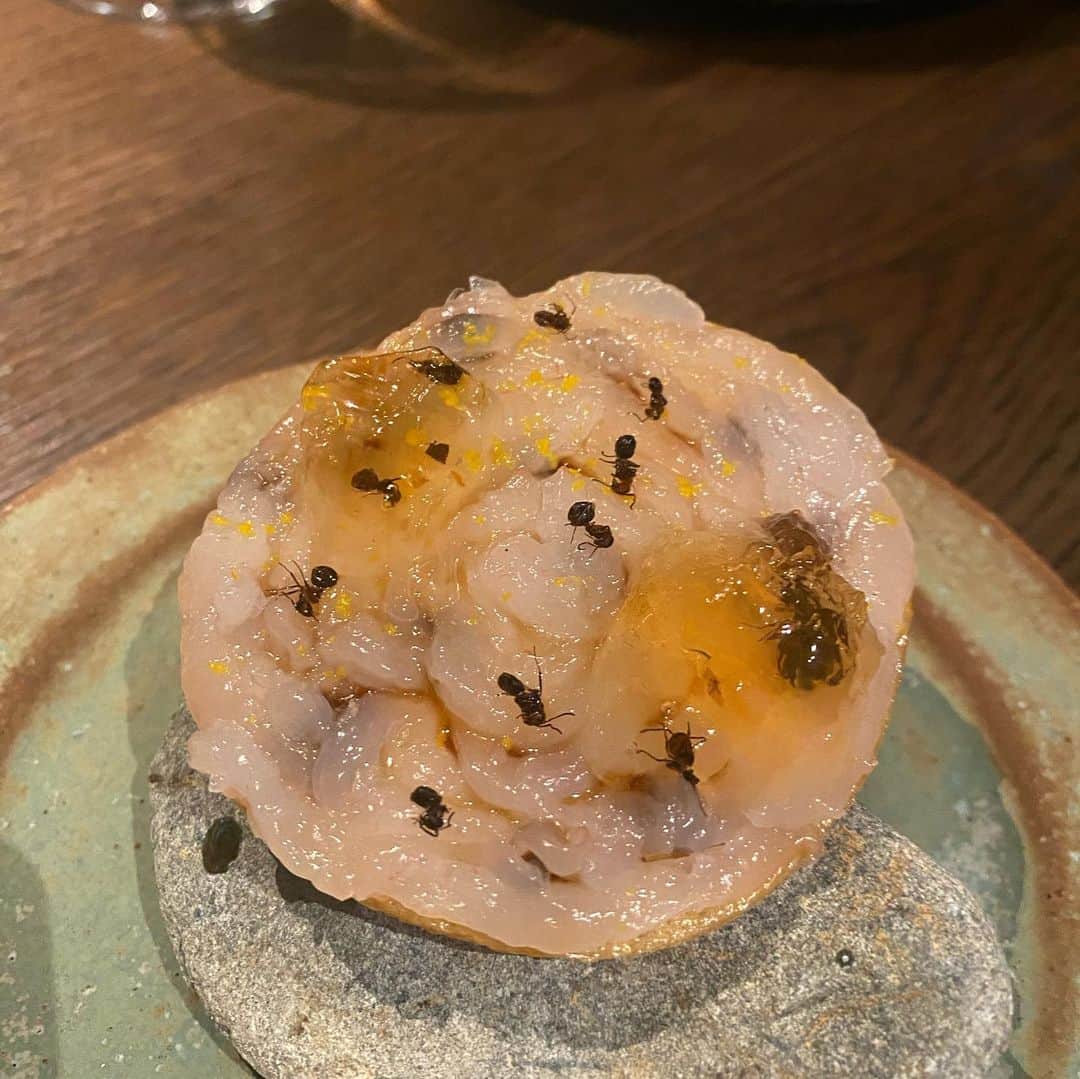 林千晶さんのインスタグラム写真 - (林千晶Instagram)「デザートなのに、頭を使いながら食べるなんてことがあっていいのか？！  美味しいとか美味しくないを超え、未知との遭遇の世界でした。  #nomakyoto」4月22日 11時50分 - chiaki_0808