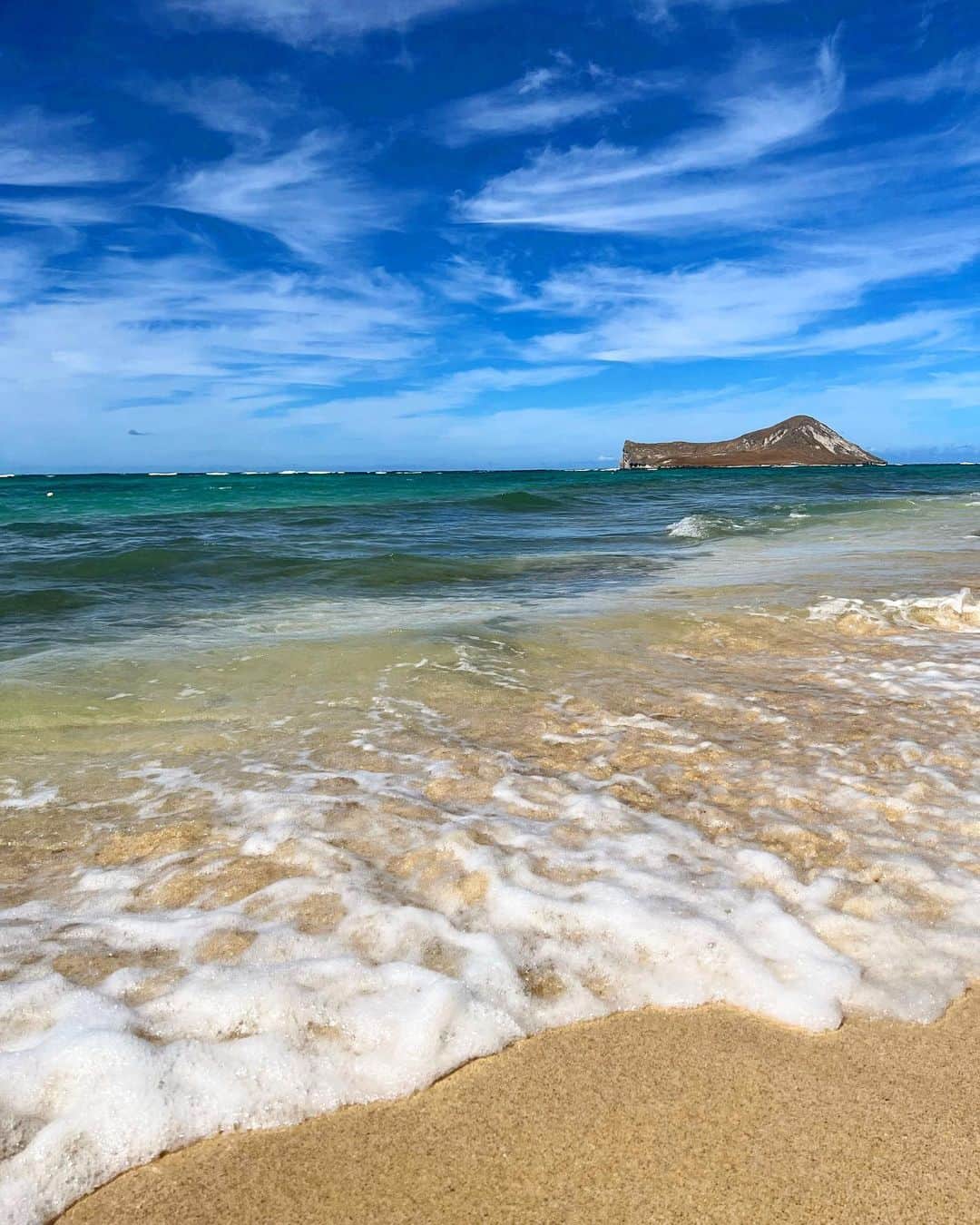 shihoさんのインスタグラム写真 - (shihoInstagram)「🌴🌊🌴🌊🌴 ・ わたしはどこにいるでしょう。笑 風景画と思いきや、、 ちゃっかりわたしいます。笑 ・ 誰もいない静かなびーち。 どこを切り取っても絵になり、 Hawaiiの風や波の音、 全てが癒しでパラダイス♡ ・ #hawaii#islandofoahu#oahu#ハワイ#trip #オアフ島#travel#loco_hawaii#travel_jp #funtorip#タビジョ#旅MUSE#genic_travel #genic_mag#たびねす#旅行#genic_hawaii #waimanalobeach#ワイマナロ#sea#beach #waimanalo#ocean#view#island#oahuhawaii #tabijyomap_hawaii#lealeahawaii#2023」4月22日 12時06分 - shiho.ga8