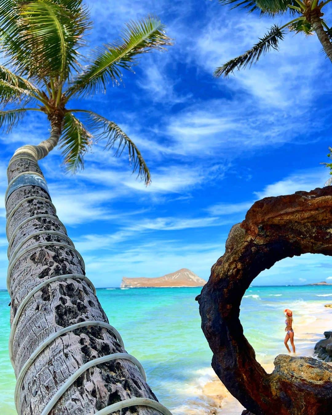 shihoのインスタグラム：「🌴🌊🌴🌊🌴 ・ わたしはどこにいるでしょう。笑 風景画と思いきや、、 ちゃっかりわたしいます。笑 ・ 誰もいない静かなびーち。 どこを切り取っても絵になり、 Hawaiiの風や波の音、 全てが癒しでパラダイス♡ ・ #hawaii#islandofoahu#oahu#ハワイ#trip #オアフ島#travel#loco_hawaii#travel_jp #funtorip#タビジョ#旅MUSE#genic_travel #genic_mag#たびねす#旅行#genic_hawaii #waimanalobeach#ワイマナロ#sea#beach #waimanalo#ocean#view#island#oahuhawaii #tabijyomap_hawaii#lealeahawaii#2023」