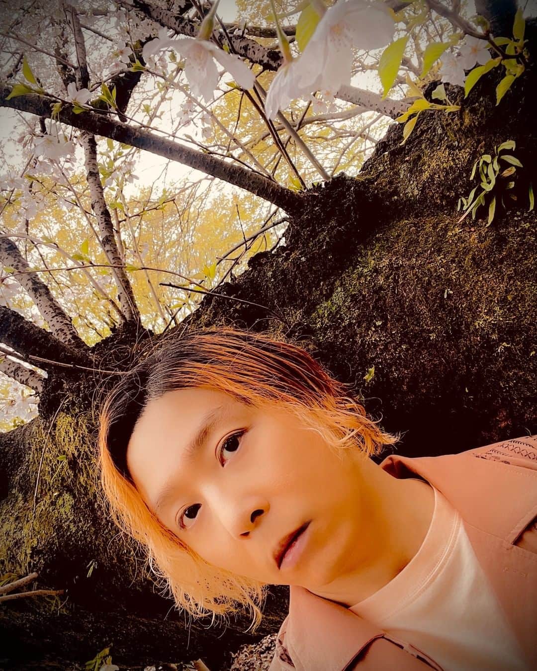 のインスタグラム：「#ENDRECHERI」