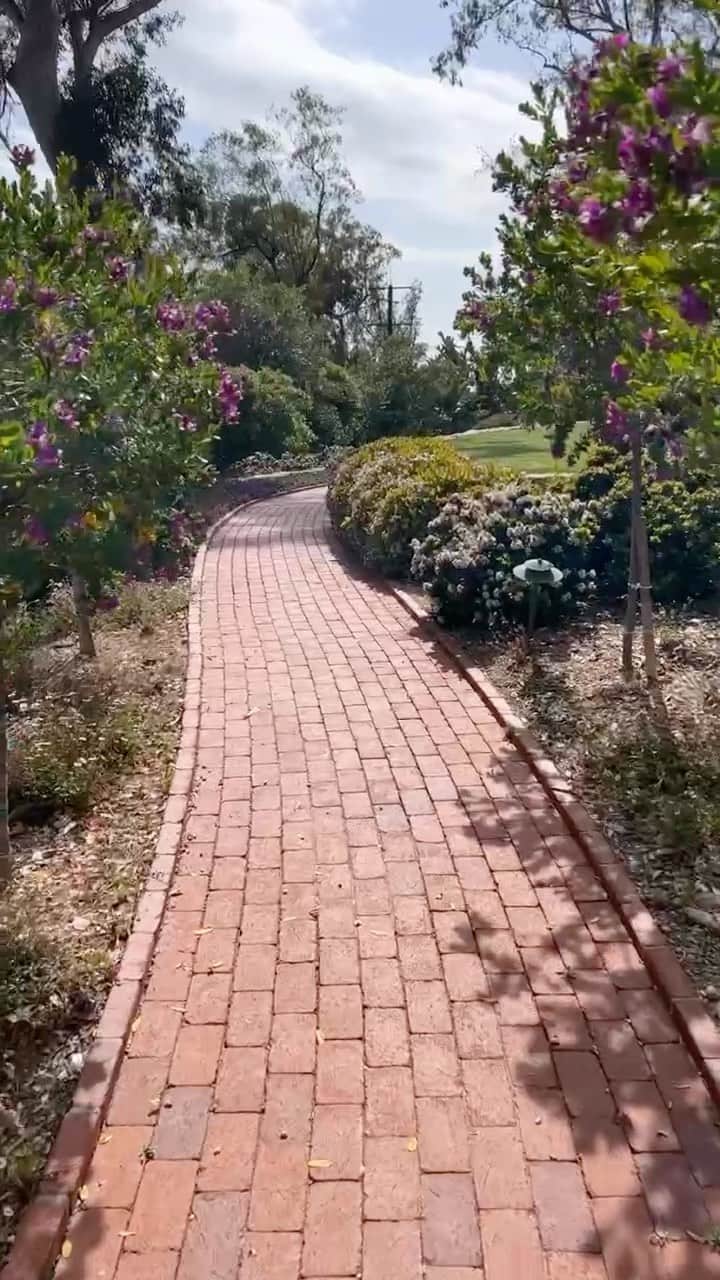 フランク&アイリーンのインスタグラム：「Behind the scenes of our special time @belmondelencanto. Stay tuned for the magic we created during this unforgettable week! #FrankandEileen」