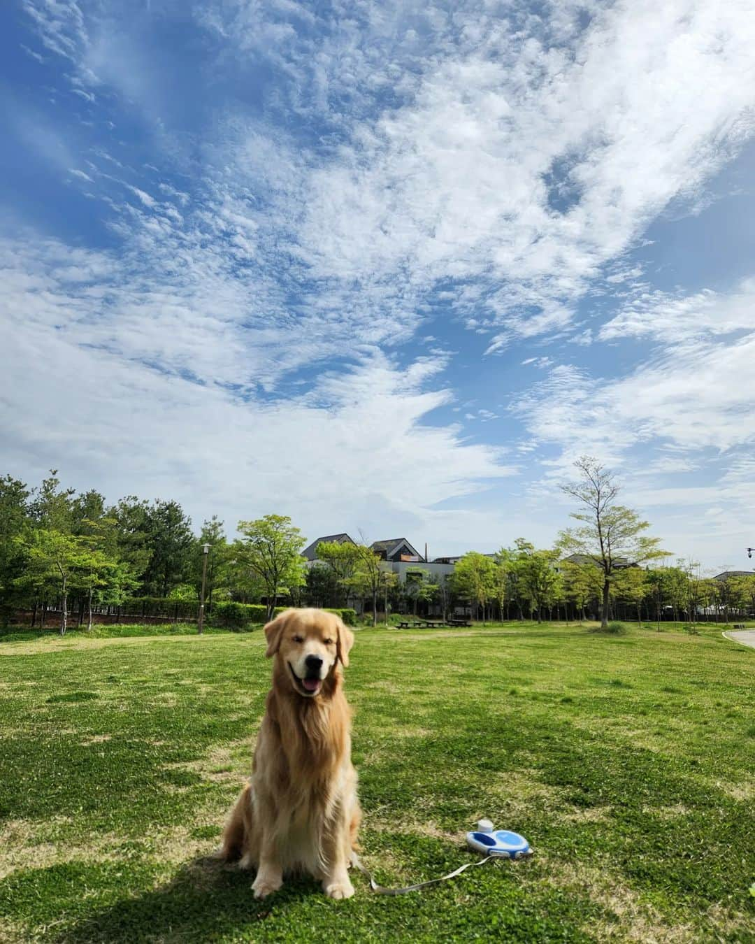 ムン・ジョンヒさんのインスタグラム写真 - (ムン・ジョンヒInstagram)「#마누 #manu #아침 #하늘 #오늘만같아라 #미세먼지 #없슴 #맑은하늘   화! 창! 하!다! Very Good Morning  주말잘지내요♡」4月22日 12時53分 - jeonghee_moon