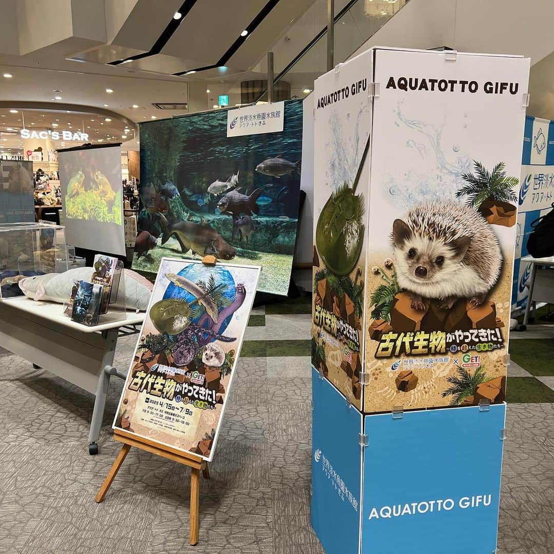 世界淡水魚園水族館 アクア・トト ぎふのインスタグラム：「アクア•トト ぎふが出張中！ 今日明日はイオンモール長久手に来ています。  企画展の紹介のほか、ワークショップも開催中です。  お近くの方は、ぜひお越しくださいね。  22日（土）、23日（日）の10:00から17:00までです。  #アクアトト #イオンモール長久手」
