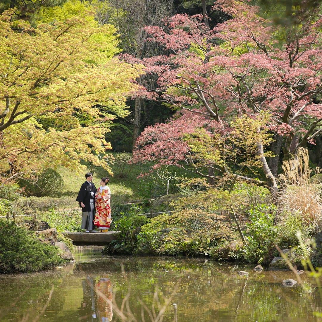 スタジオアクア新宿店さんのインスタグラム写真 - (スタジオアクア新宿店Instagram)「. swipe‼︎>> 【和装ロケーション】甘泉園公園  最近少しずつ暖かくなってきましたね(^^) 公園の緑もとっても綺麗です！！ いつでもどこでも指名お待ちしております！ 📸:Koyuki Kusumi 💄:Yuki Nishino  #プレ花嫁 #ウェディングフォト #フォトウェディング #ブライダルフォト #ブライダルヘア #花嫁ヘア #オシャレなスタジオ #プレ花嫁東京 #marryxoxo #スタジオアクア #スタジオアクア新宿店 #デコルテフォト #日本中のプレ花嫁さんと繋がりたい #全国のプレ花嫁さんと繋がりたい #オシャレさんと繋がりたい #おしゃれさんと繋がりたい  #東京ウェディング  #おしゃれ花嫁 #洋装前撮り　 #ウエディングドレス #タキシード #撮る結婚式 #プレ花嫁さんと繋がりたい #weddingphoto ---------------------------------- フォトグラファー、ヘアメイク、フォトプランナーを募集中！  私たちと一緒に働きませんか？ 私たちと一緒に新郎新婦の夢を叶える仲間を募集中✨ @decollte_recruit」4月22日 13時28分 - studioaqua.shinjuku