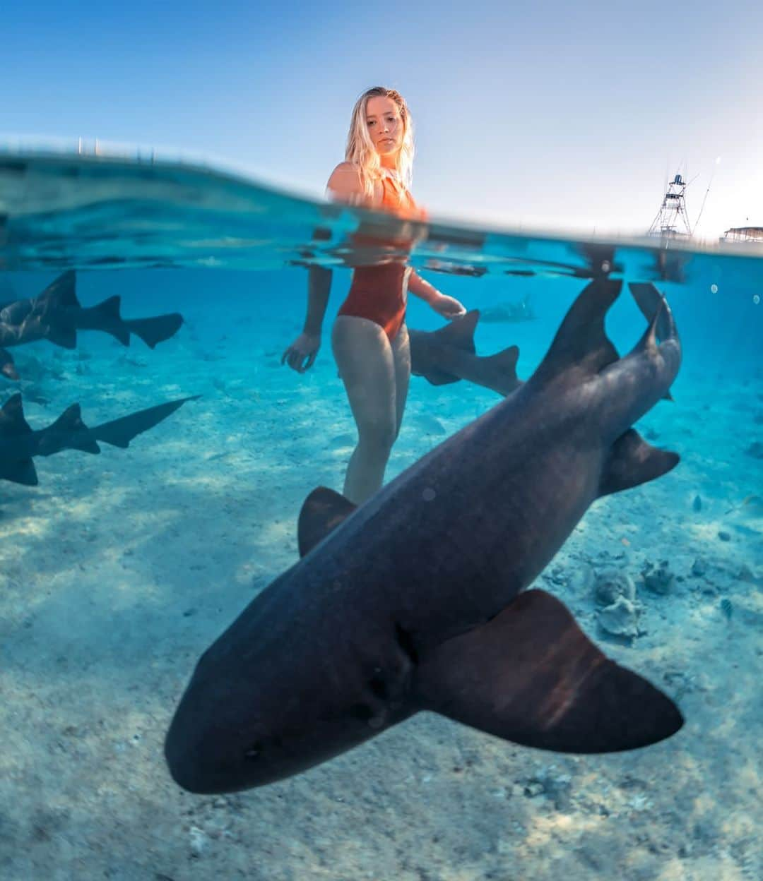 サシャ・カリスのインスタグラム：「Happy #earthday to my beautiful, beautiful home 🌎  To the never ending adventures our beautiful world has to offer 🥂 #earthday2023  🗺 Parks @bahamasnationaltrust  Photographers: 📸 @elenakalis & @andremusgrove」