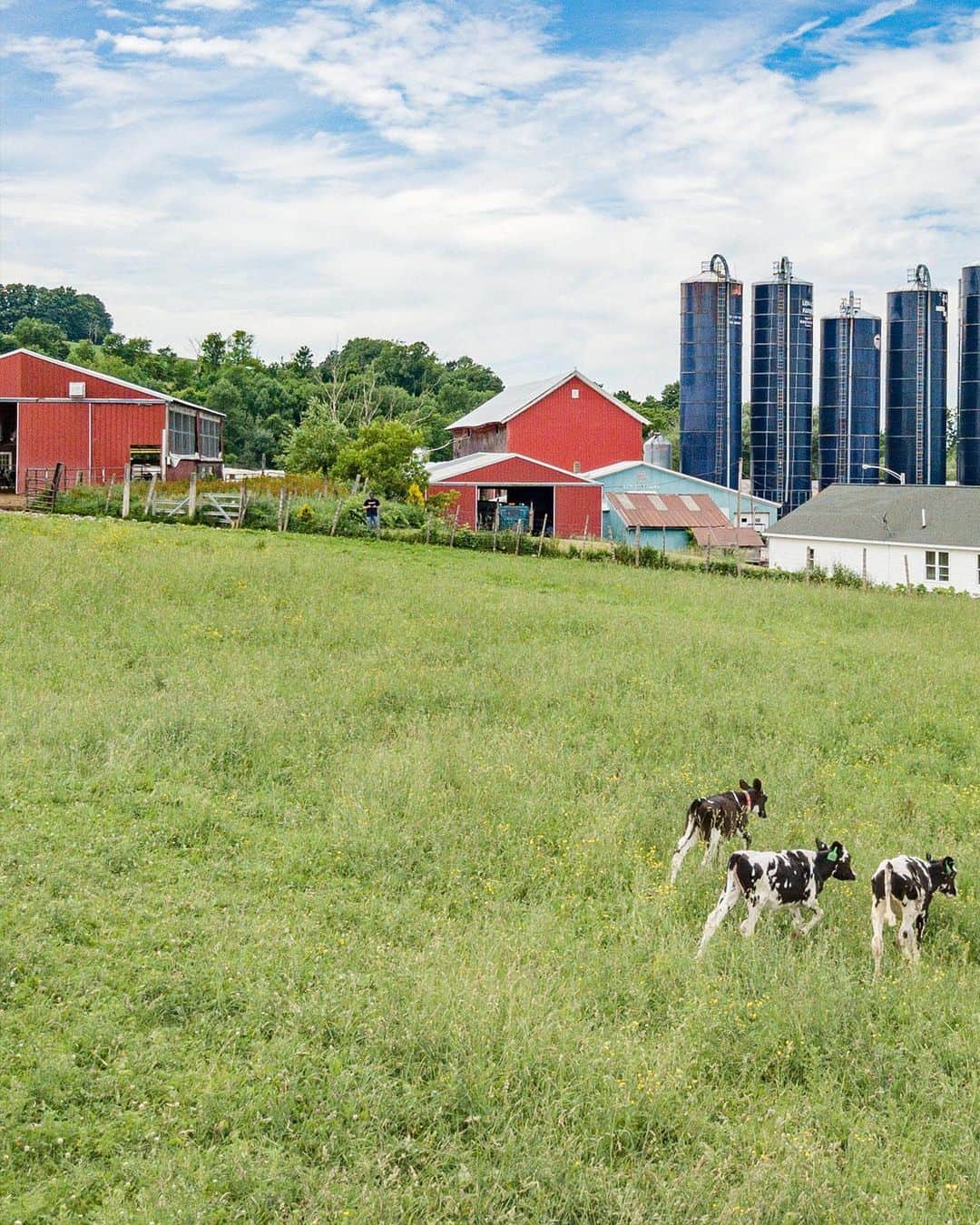 Chobaniのインスタグラム：「On #EarthDay and every day, it is our mission to provide better food for more people. Better food comes from a healthier planet. Clean air and water are as fundamental to us as they are to the farmers and cows in New Berlin, NY, and Twin Falls, ID, that supply our number one ingredient: milk–alongside our fruit and oats–that make our products and make us possible. It’s our duty to preserve these precious resources for our children, which drives our commitment to protect the earth with as much passion as we have for protecting our families and helping others. 🌎」