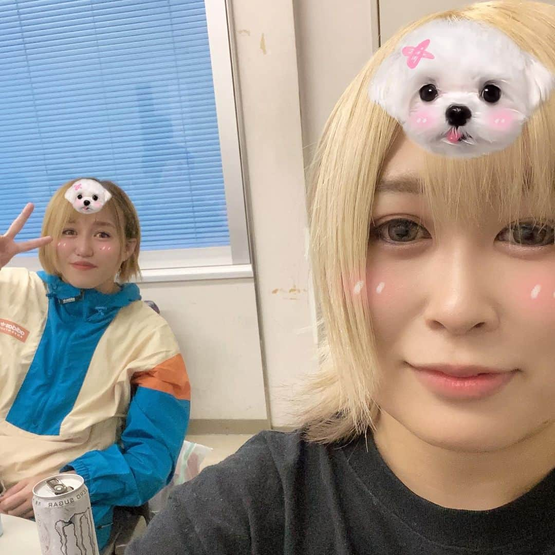 小波さんのインスタグラム写真 - (小波Instagram)「🐶」4月22日 23時29分 - k_o_nami