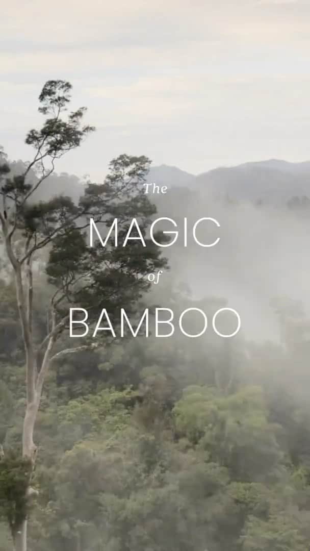 Anthropologieのインスタグラム：「This Earth Day, we’re teaming up with The Nature Conservancy to educate our customers about the sustainable features of bamboo, as well as the important role rainforests play in fighting climate change. Our community joined our display teams in stores to help handcraft our summer store décor out of naturally sourced bamboo 🌎🌱    Special thanks to @nature_org for additional imagery. Learn how you can help protect global rainforests at the link in our bio.」