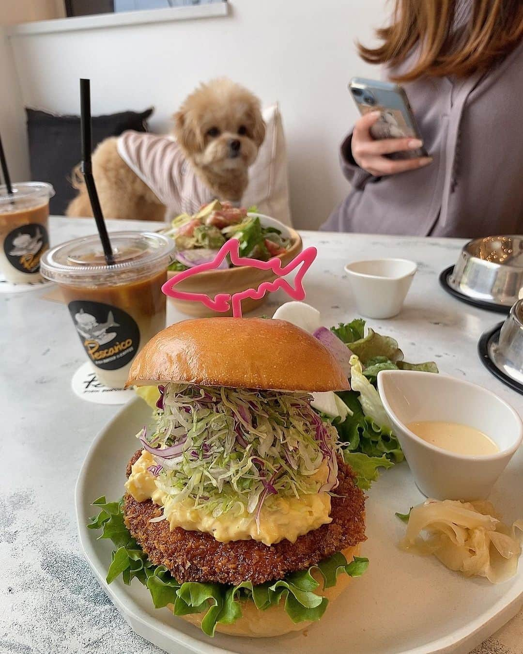 YU-RIのインスタグラム：「𝙲𝙰𝙵𝙴𓂃𖠚ᐝ  ポポと初めてのカフェ🐾 with かんなちゃん・ころも💘  📍ペスカリコ / 渋谷 🍔♡ @pescarico2020   サメバーガーが有名らしく、 サメを食べてきた🦈𓈒𓏸  どんなかな〜って思ったんだけど めっっっちゃ美味しくて即完食🥹  そのあと代々木公園をお散歩🐶  ポポは散歩中にいっぱい 振り向いてくれるわんこちゃん🐕🐾 おもちは猪突猛進だけど笑  かわちい꒰ ¨̮ ꒱⸝♡  #カフェ#ペット可カフェ#犬活#お散歩#ぺスカリコ#サメバーガー#カフェ巡り#わんこ#ポメプー#黒プー#ペット可」