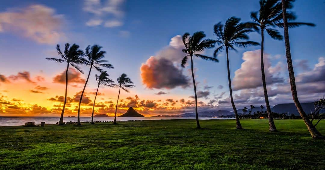 Lanikai Bath and Bodyさんのインスタグラム写真 - (Lanikai Bath and BodyInstagram)「Today is Earth Day. Let's all take a moment today to appreciate the beauty of our planet and commit to making positive changes to protect it for generations to come. Sharing some  of our favorite photos of our amazing place we live and love.   #EarthDay #Sustainability #GoGreen #LANIKAIBathAndBody #NaturalBeauty  #EcoBeauty」4月22日 23時49分 - lanikaibathandbody