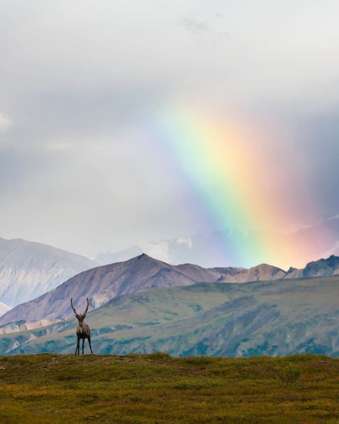 Visit The USAさんのインスタグラム写真 - (Visit The USAInstagram)「Every epic trip to Alaska starts with some inspo.  Here are the plans to fuel your next-level adventures in the USA’s ‘Last Frontier:’  🧊Ice climbing in Knik Glacier 🦌Wildlife sightings in Denali National Park 🌠Northern lights in Fairbanks  #VisitTheUSA #EarthDay2023 #TravelAlaska #KnikGlacier #IceCaves #DenaliNationalPark #NorthernLights」4月23日 0時00分 - visittheusa