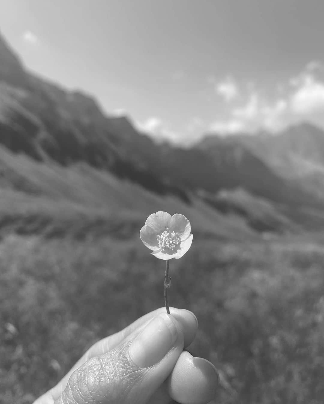 イザベル・ルーカスのインスタグラム：「Homage to earth day. To loving the thunder, the mud, the seasons, caterpillars and dragonflies. To opening the heart door and treating ourselves with more softness. We are nature.  #earthday」