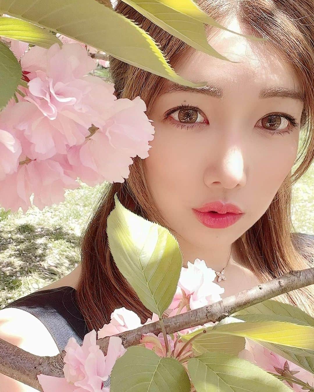 滝沢結貴のインスタグラム：「Spring 🩵🩷🩵🩷」