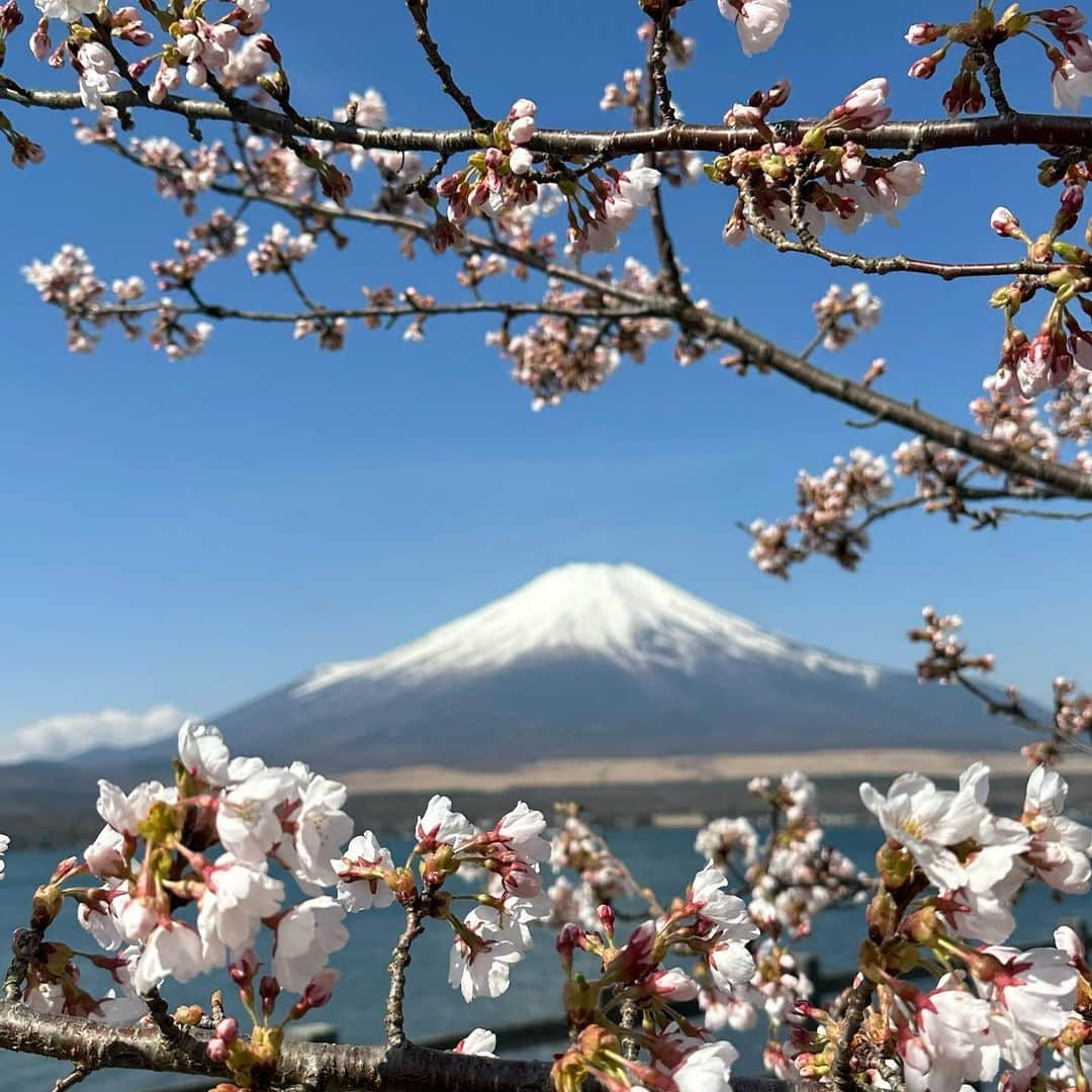 竹内智香さんのインスタグラム写真 - (竹内智香Instagram)「……….. チームメートのDarioとLadinaが 日本に遊びに来てくれて 富士山と桜が見たい！ と言う事で @visionglamping に行ってきました🤩 富士山が見える絶景のお部屋😍 BBQも朝食も全て準備されてて 夜には満開の星空を見ながら💫 焚き火して語りながらマシュマロ焼いて 最高に贅沢な2泊3日のグランピングでした🤩 . 温泉に水風呂にサウナもあって みんなでワイワイ楽しく入りながら 旅で歩き疲れた体も しっかりリカバリーできました💪 キャンプとはいえ @globalwifi_official もあって Wifi環境もサクサク😀 . 雪上で会うことが多い2人だけども オフシーズンで競技から離れるからこそ 人生観•競技人生観について 語ることができて🙃 とっても充実した時間に 感謝です🙏 . @globalwifi_official @visionglamping  @gobeyonder0200  #グローバルWiFi #globalwifi #gobeyonder #GOBEYOND #Fuji #富士山 #グランピング　 #山中湖」4月22日 17時06分 - tomoka_takeuchi