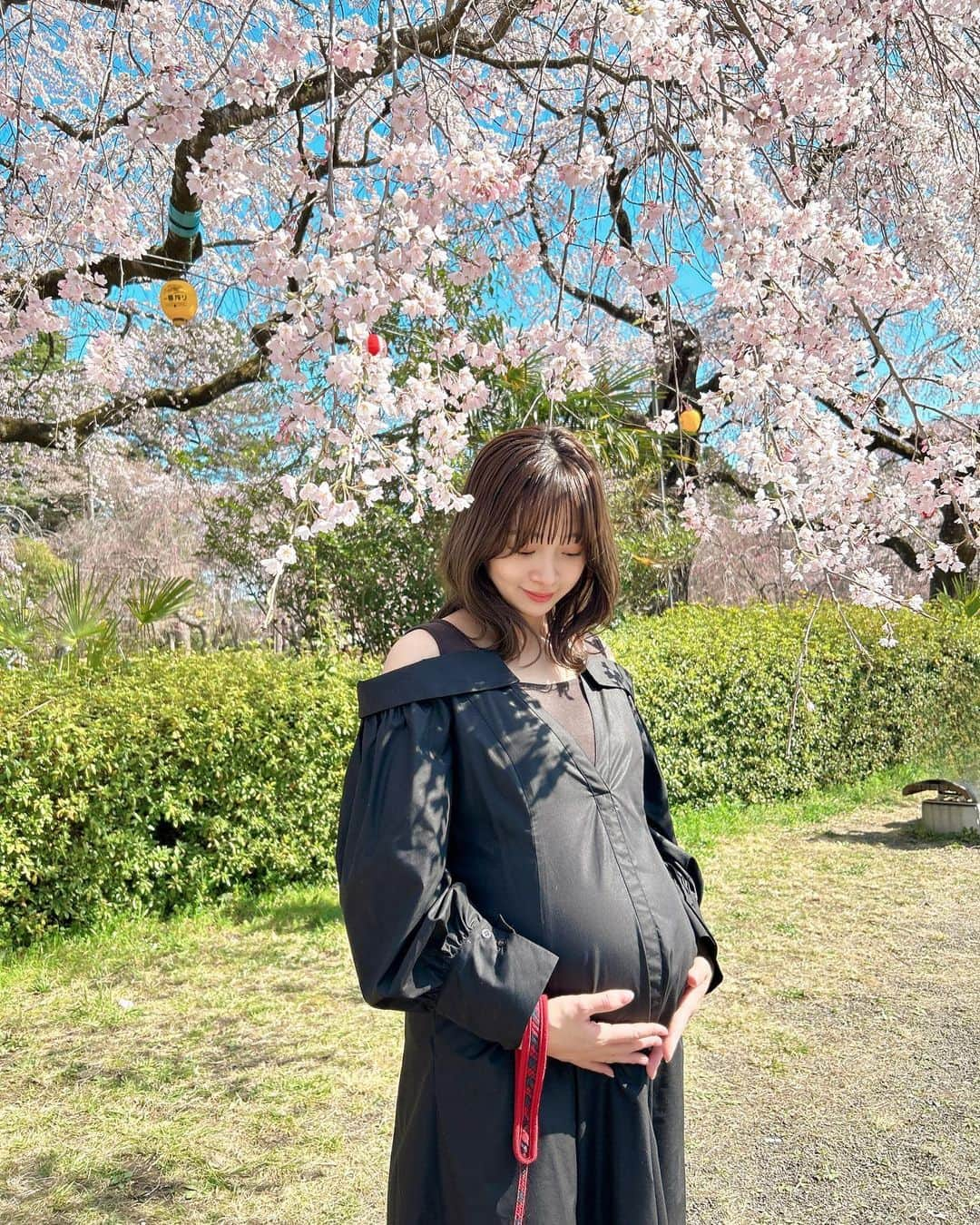 渡邉幸愛さんのインスタグラム写真 - (渡邉幸愛Instagram)「＿＿＿＿＿＿＿＿＿  綺麗な桜と一緒に撮れた写真🤰🌸 ぽっこりお腹が愛おしい🫰  桜の季節、今年もあっという間だったね〜😭 お花見できましたか...？🌸  #妊婦 #妊婦コーデ  #桜 #マタニティフォト」4月22日 17時07分 - koume_watanabe.official