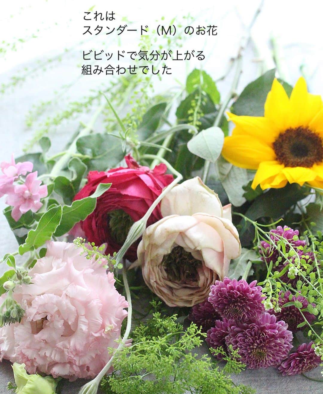 雑誌『花時間』さんのインスタグラム写真 - (雑誌『花時間』Instagram)「えっ？もうヒマワリ😱　  花時間（@hanajikan_magazine）です。  そう、もう出ているんです、ヒマワリ🌻（笑）  先日、うちに届いた花時間の定期便に、満面の笑顔で入っていたんです。  １本ずついろいろな花が入っている宝箱みたいな定期便。  それでも組み合わせやすいようにと考えられていて…。と今回も再確認しました。  ヒマワリを新緑の季節らしく飾れるように、白いオルラヤやタラスピなどの爽やかな花材もセット。  一度に終わってしまわないように、長もち代表選手のマムやアルストロメリアも入っていました。  花のチョイスと発送を依頼しているのは、東京の世田谷市場の仲卸さん。  鮮度のよさはもちろんのこと、花好きなら、わっ！と驚く花もさりげなく入れてくれる心づかいに感動しちゃっています💕  届く花は、どれも茎が長いので、これからの高温期でも何度も切り戻しして、楽しめますよ！  お得な花の宝箱。1回だけのお取り寄せもできるので、ぜひ、お試ししてみてね。  詳細はプロフィール（@hanajikan_magazine）のリンクからどうぞ。  では、明日も元気smile😊😊😊で素敵な休日をお過ごしください。 byピーターパン  【花時間ニュース】 💜『花時間』から、花の定期便がスタートしました🥰　世界でここだけのバラと旬花が届く嬉しいサービスです💕  💜『花時間2023秋冬』〈春夏秋冬。季節のリース〉大好評発売中！  💜2023年『花時間』カレンダー絶賛発売中！  💜『花と短歌でめぐる 二十四節気 花のこよみ』大好評発売中  すべて @hanajikan_magazine のプロフィールのリンクから飛べます✈️  『花時間』本誌や書籍は全国の書店、ネット書店でも発売中✨  #花時間 #フラワーアレンジ #花の定期便 #花のサブスク  #花が好き #花が好きな人と繋がりたい #花を飾る #花を飾る生活 #花屋さんへ行こう」4月22日 17時11分 - hanajikan_magazine