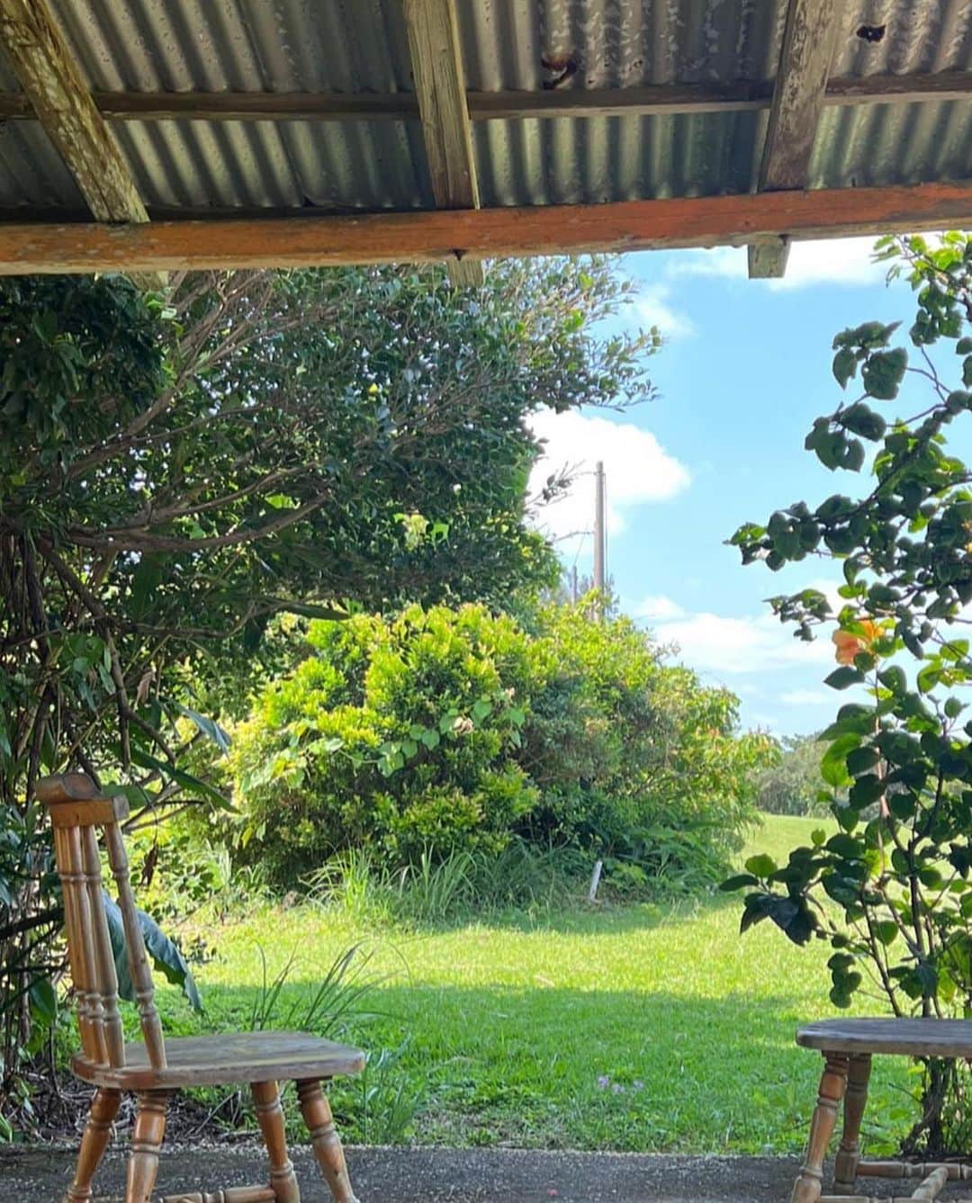 のインスタグラム：「🌳🌿🍃」