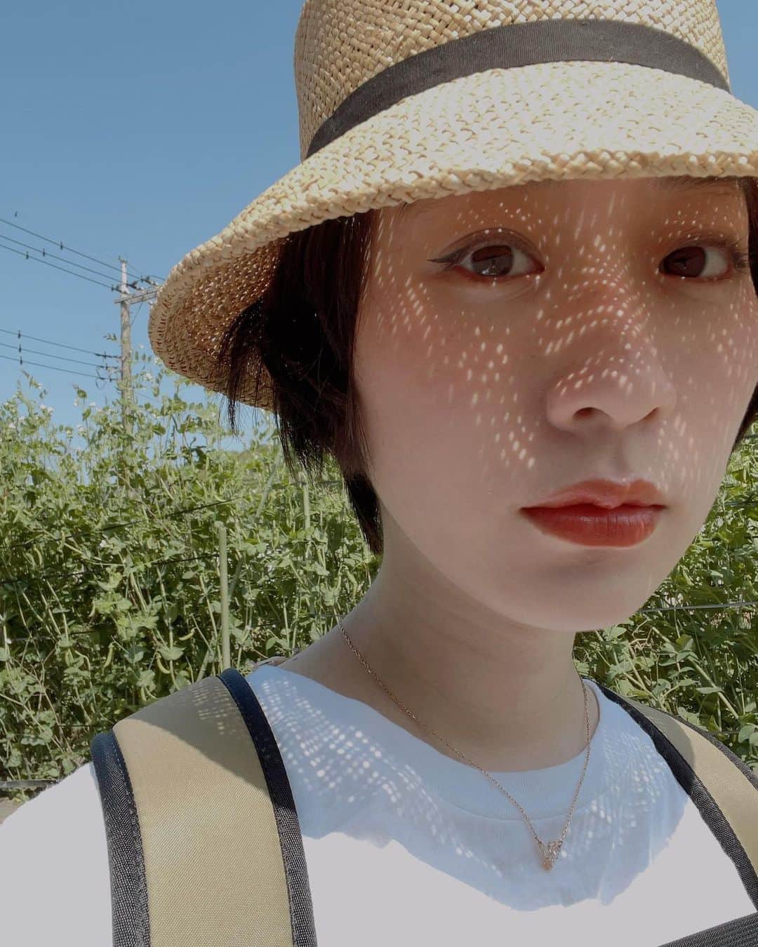 椎名琴音のインスタグラム：「麦わら帽子👒  今おうちにある麦わら帽子は３つ。 大事にしてる子たちです😉  高校生の時、カンカン帽があんまりなくて 探して探して展示してあったもの？を 見つけて買ったのを覚えてます。 この写真の帽子じゃないけど、 まだまだ愛用しています☆  たしか、耳をすませばの帽子が欲しくて 探してた気がするなー 麦わら帽子ってとくべつな気持ちになれる🌿  気温上がったり下がったりですが 体調に気をつけて お洋服で楽しんでいきたいですね🍵←だれ」